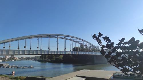 a bridge over a river with a statue in the foreground at Nature in the City lower storey Bestern in Szeged