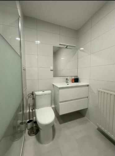 une salle de bain blanche avec des toilettes et un lavabo dans l'établissement T2 7 Lys - central, terrasse, garage, à Saint-Louis