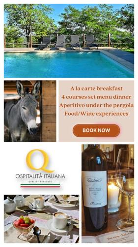 a collage of pictures of a restaurant with a cow next to a pool at Agriturismo Ma Che Bel Castello in Mombaruzzo