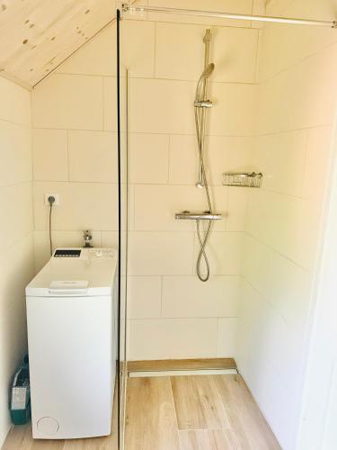 a shower with a washer and dryer in a bathroom at Ferienhaus - Senn-Inn im Zentrum von Schladming in Schladming