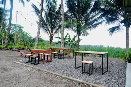 a group of tables and benches and palm trees at Glamping Near Museum Gunung Merapi by Smart Digital in Soprayan