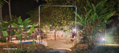 Taman di luar Arista glamcamp