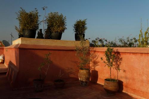 a row of potted plants sitting on a wall at Boutique Hotel Riad Almoulouk in Marrakech
