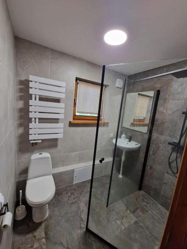 a bathroom with a toilet and a sink at Ezermalas in Carnikava