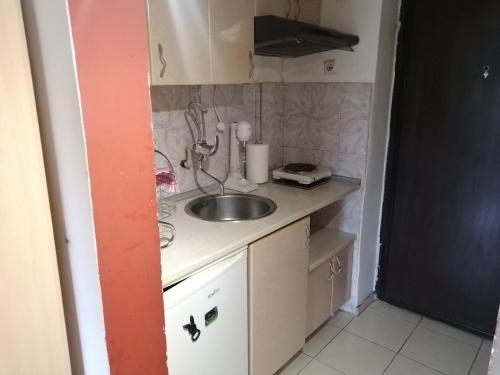 Una pequeña cocina con fregadero en una habitación. en Dalijan Apartman, en Ohrid