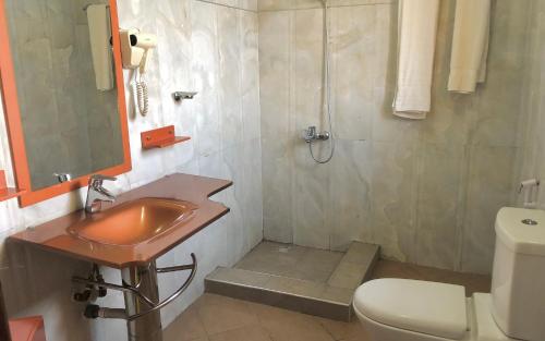 a bathroom with a sink and a shower and a toilet at Nejobugg Hostel in Nkoanrua