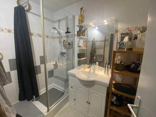 une salle de bain avec douche et lavabo dans l'établissement Appartement sur la plage - parking - terrasse vue mer - 1er étage, à Saintes-Maries-de-la-Mer