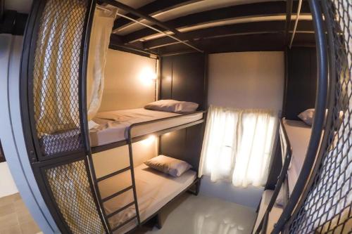 een groep stapelbedden in een kamer bij Urban Bed in Chiang Mai