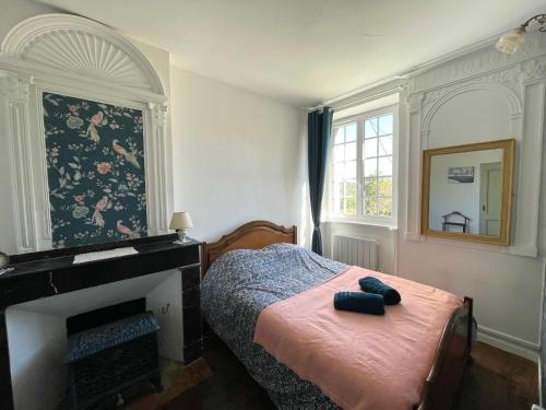 une chambre avec un lit et une cheminée dans l'établissement Domaine de Montfort, à Saint-Lizier