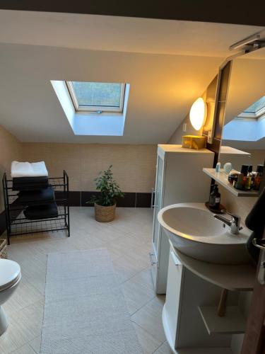 a bathroom with a sink and a skylight at Green House in Stara Sušica