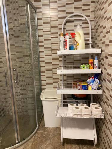 a bathroom with a shower and a toilet at Studio apartman Farah in Bihać