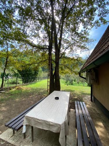Zahrada ubytování Studio apartman Farah