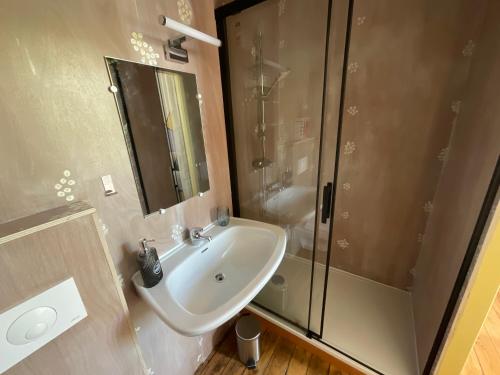 a bathroom with a sink and a shower at Tavarn Ty Gar in Hennebont
