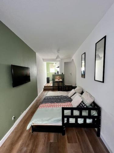 a bedroom with a large bed and a tv at Appartement plein centre-ville in Mulhouse