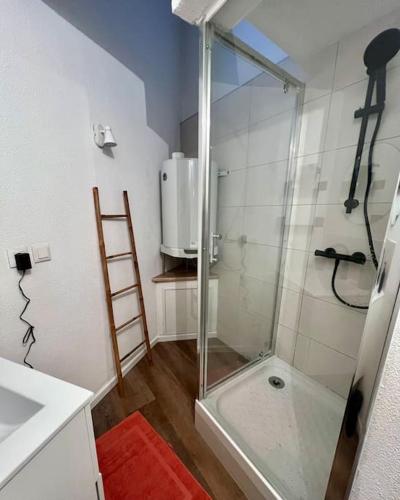 une salle de bain avec douche avec une porte arrière de douche en verre dans l'établissement Appartement plein centre-ville, à Mulhouse