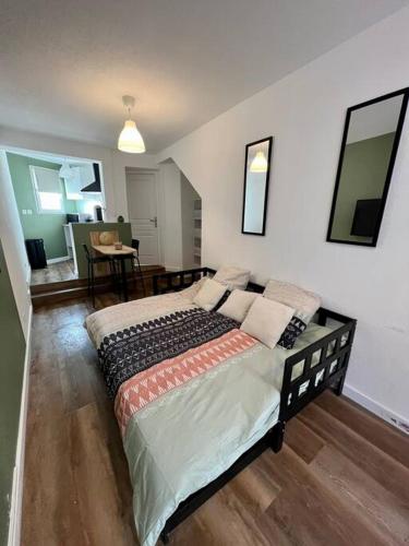 une chambre avec un grand lit dans une pièce dans l'établissement Appartement plein centre-ville, à Mulhouse