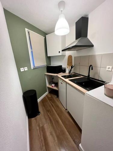 a kitchen with a sink and a counter top at Appartement plein centre-ville in Mulhouse