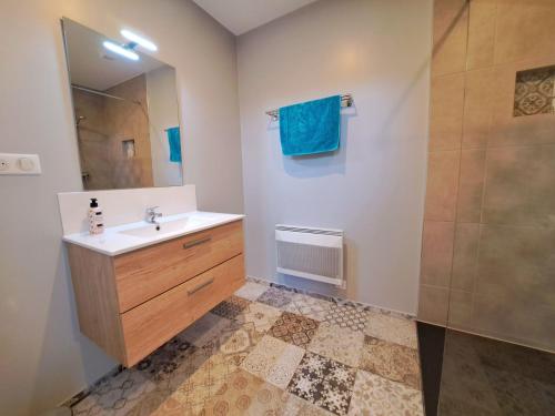 une salle de bain avec un lavabo et une douche dans l'établissement Domaine Quintèss - Studio, à Paulhiac