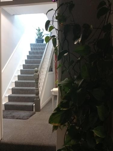 ペイントンにあるAmbassador Guest Houseのギャラリーの写真