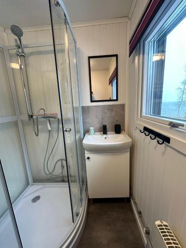 a bathroom with a shower and a sink at Camp Caroli Family House in Jukkasjärvi