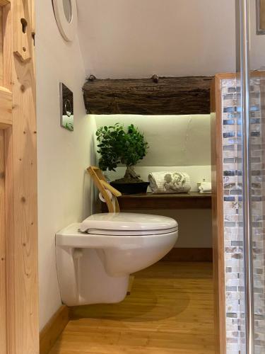 a bathroom with a toilet with a potted plant at LE PRESBYTERE in Chasnay