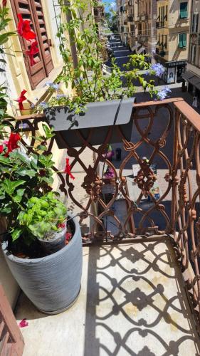 a balcony with two pots of plants and a bench at Grandmas 5 terre in La Spezia