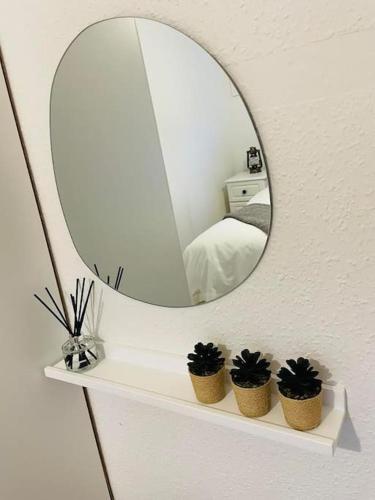 a mirror on top of a shelf with three plants at The Lookout in Carbis Bay