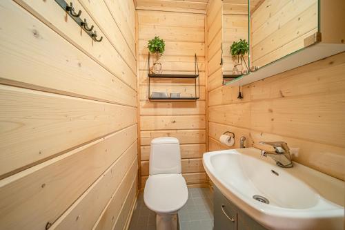 a bathroom with a toilet and a sink at Levillas Kätkänlenkki 6A in Levi