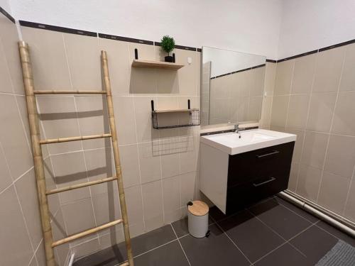 - une petite salle de bains avec un lavabo et une échelle dans l'établissement L Excellence, Joli T3 Bourgeois, à Carcassonne