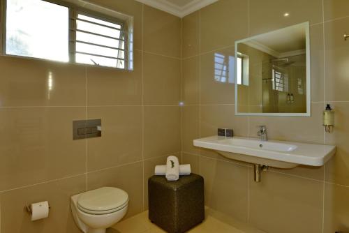 a bathroom with a toilet and a sink and a mirror at Val Du Charron Wine & Leisure Estate in Wellington