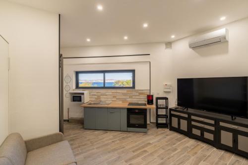 un salon avec une grande télévision à écran plat dans l'établissement Cosy studio magnifique vue mer, à Marseille