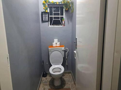 a small bathroom with a toilet in a stall at The Adventure Begins in Bulawayo