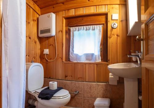 a bathroom with a toilet and a sink and a window at Mountain Escape Chalet in Karpenision