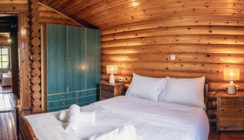 a bedroom with a bed in a wooden wall at Mountain Escape Chalet in Karpenision