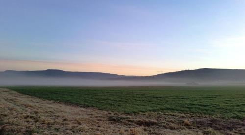 a foggy field with mountains in the background at Luisenhof in Geisfeld