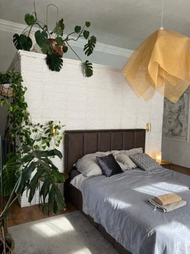 Dolcevita Downtown Apartment 1078 Budapest, Nefelejcs utca kép - 3