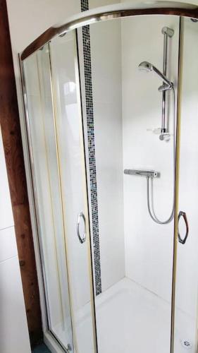 a shower with a glass door in a bathroom at Small cottage in Camp, Kerry on the Dingle Way in Camp