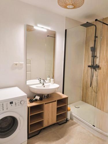 une salle de bain avec un lavabo et une machine à laver dans l'établissement L'agave - Rennes Quartier Anatole France, à Rennes