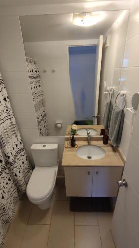 a bathroom with a toilet and a sink and a mirror at Departamento en Papudo con acceso directo a la playa in Papudo
