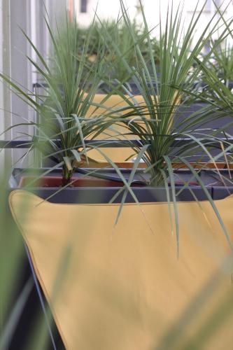 Imagem da galeria de c-hotels Joy em Florença