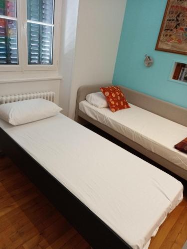 - 2 lits jumeaux dans une chambre aux murs bleus dans l'établissement Le Palmier, Maison de ville, 3 chambres et jardin/terrasse, à Blois