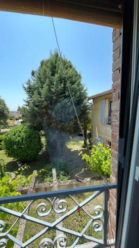 a view of a tree from a window at La vieille ferme de Gaillac in Gaillac