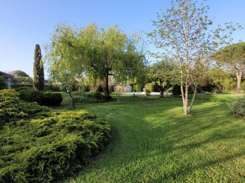 a green yard with trees and bushes on a sunny day at La vieille ferme de Gaillac in Gaillac