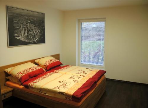 - une chambre avec un lit et une fenêtre dans l'établissement Apartmány na Dolní Moravě, à Dolní Morava