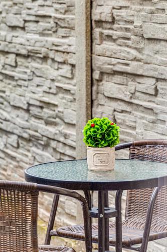 a table with a potted plant on top of it at ARI Central Grand Apartments - Luxurious Stay in Arad