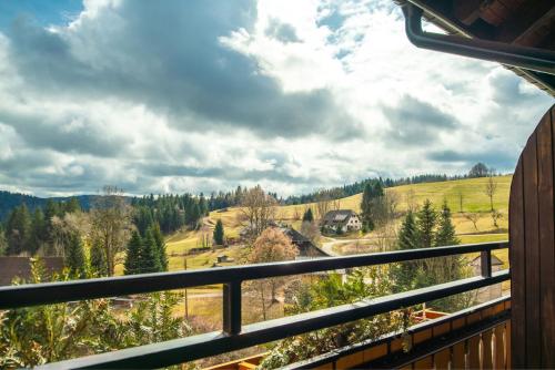 a view from the balcony of a cabin at Boutique Hotel and Apartments Pension Sternen in Todtmoos