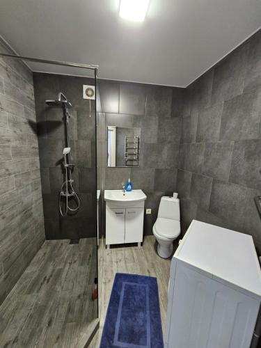 a bathroom with a toilet and a sink and a shower at ЖК Яровиця in Lutsk
