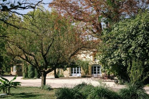 Taman di luar 30m2 suite in 18th-century Provencal farmhouse