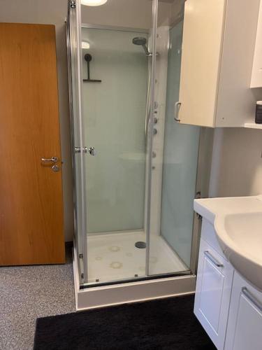 a shower with a glass door in a bathroom at Lakeside Apartments - A in Egilsstadir