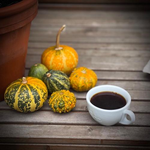 Kemudahan buat kopi dan teh di tiny house BARACZEK Brno-Jundrov, ulice Veslařská